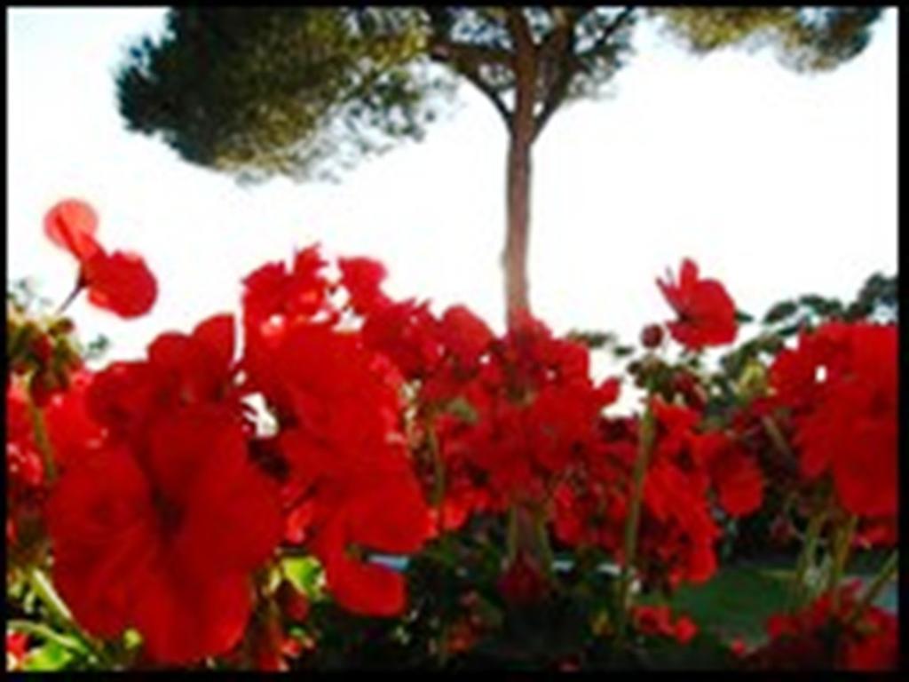 La Tangana Bed & Breakfast Rognes Exterior photo